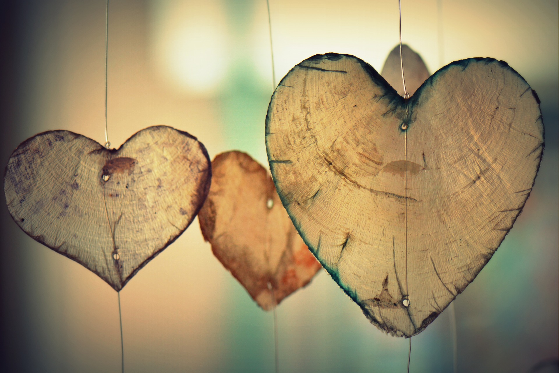Day 29—Making Your Marriage A Daily Priority